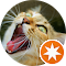 Naddy-Naddy-Her-Cats